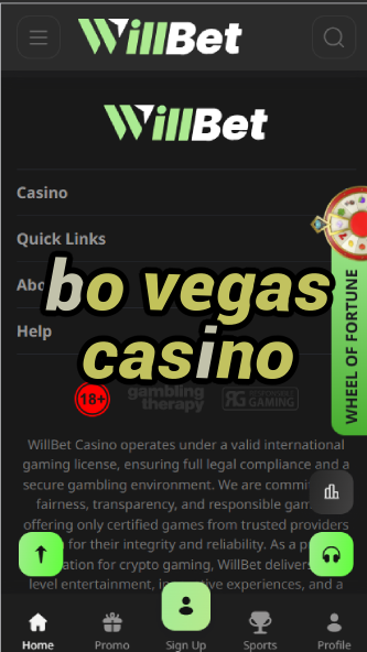 Bo Vegas Casino - Premium Casino with Exclusive VIP Offers-casinoorder.vip